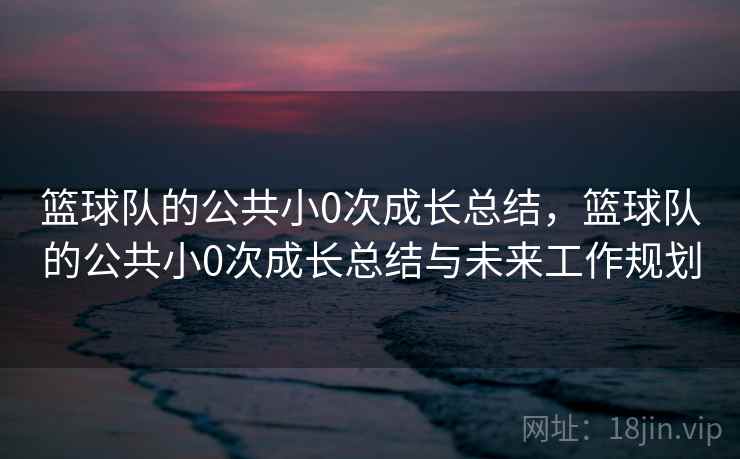 篮球队的公共小0次成长总结，篮球队的公共小0次成长总结与未来工作规划