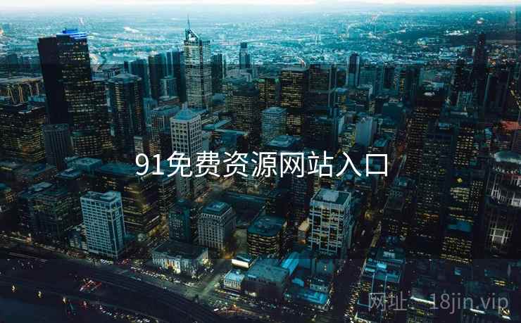 91免费资源网站入口