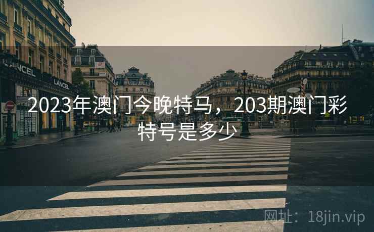 2023年澳门今晚特马，203期澳门彩特号是多少