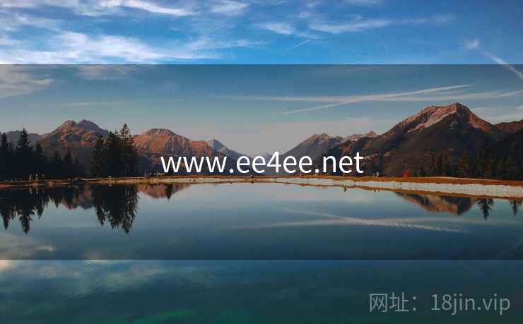www.ee4ee.net www.ee4ee.net